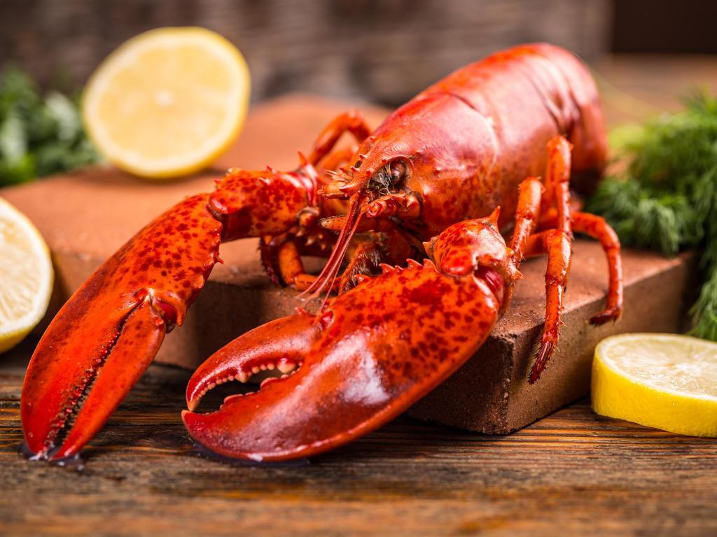 Homard
