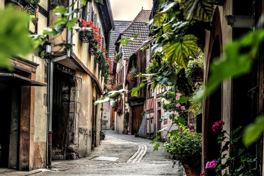 Rue